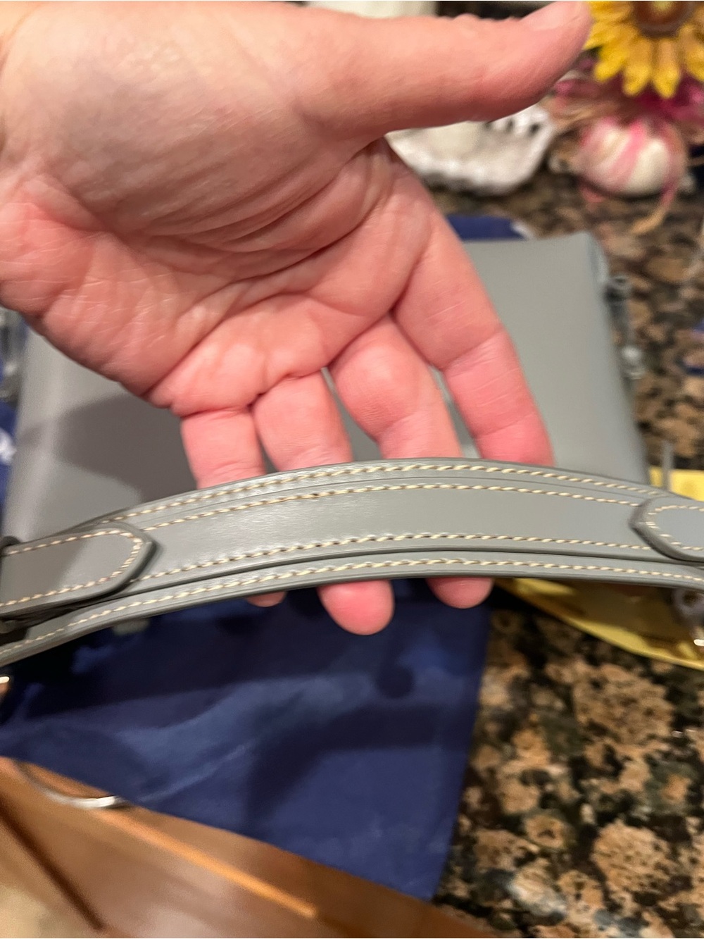 Dooney & Bourke Hobo 25 in Light Gray with Gold Hardware - Picture 4 of 7